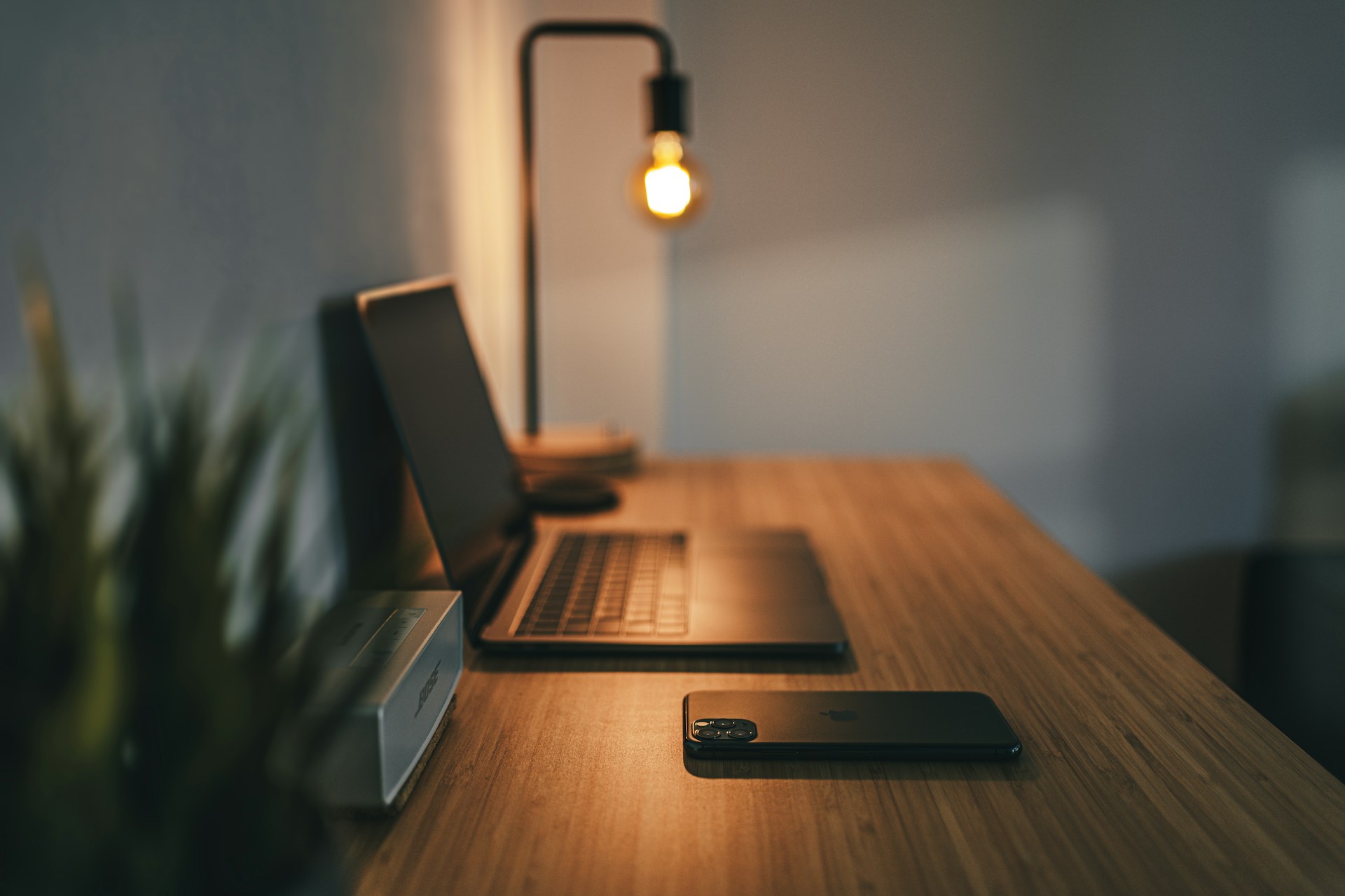 A picture of a laptop, a phone, a speaker, and a lamp on a desk. A plant in the foreground and the lamp in the background are out of focus.